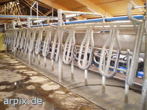 milking system object
