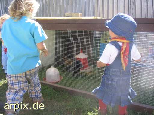 gazer object cage human bird chicken