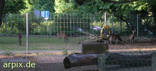 deer fence zoo