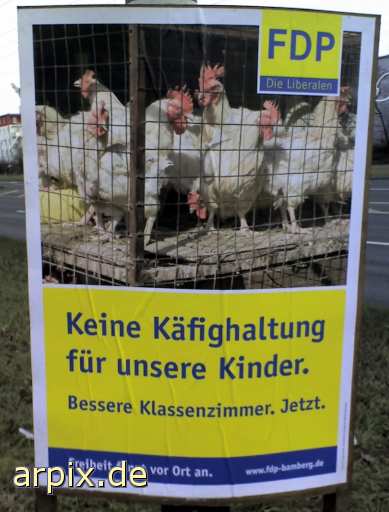 election poster fdp liberal party germany object cage sign bird chicken