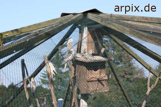 object cage aviary bird parrot