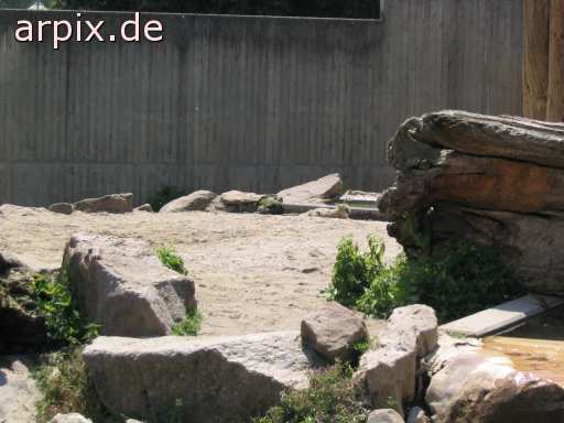 zoo mammal fox